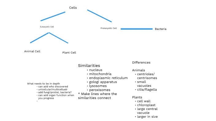 Biology 311C Concept Map - Emily, Elijah, Shawn by Shawn Kim on Prezi