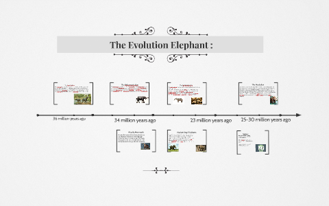 Elephant Evolution: by Brandon Chavarria on Prezi