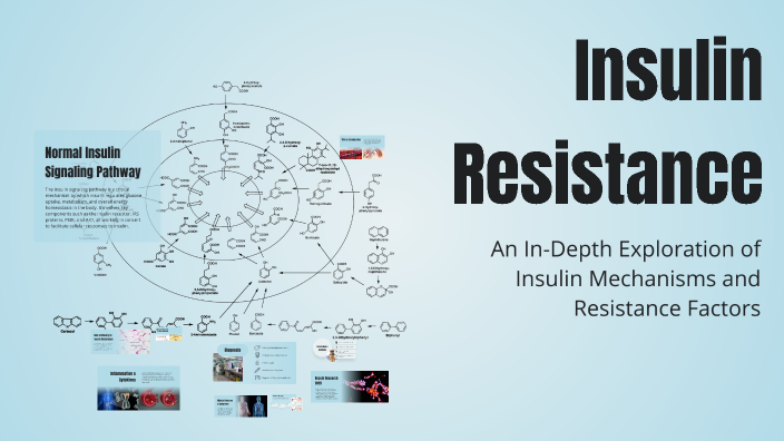 Insulin Resistance by تقى بهاء on Prezi
