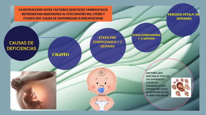 FACTORES QUE AFECTAN EL DESARROLLO FETAL Y CAUSASN DEFICIENCIAS Y