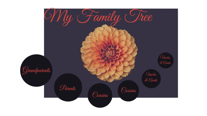 My Family Tree by Pricila Partida on Prezi
