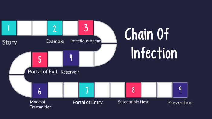 Chain of Infection by Maxwell Amesse on Prezi