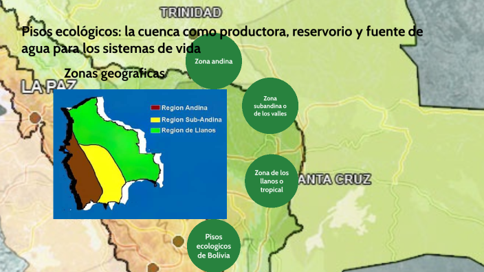 Pisos Ecologicoy Biodiversidad De Bolivia By Edwin Lucio Flores Nuñez On Prezi