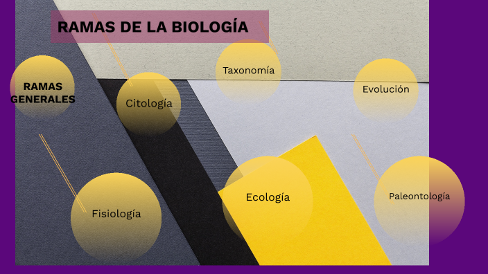 RAMAS DE LA BIOLOGÍA by Claudia Carranza on Prezi