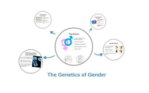 The Genetics of Gender by Erin Rowland on Prezi