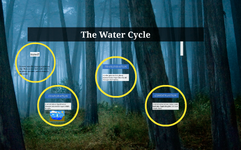 The Water Cycle by Brandon Richards on Prezi