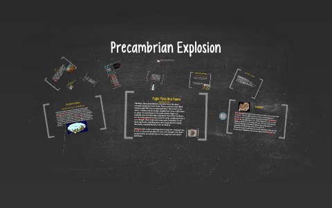 Precambrian Explosion by Adam Lucyshyn on Prezi