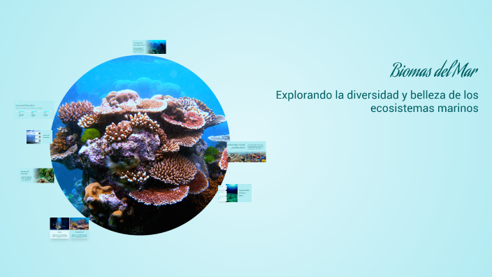 Biomas del Mar by on Prezi
