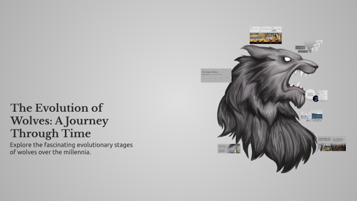 Parallel Evolution Example Wolves The Evolution of Wolves: A Journey Through Time by Mayo LInton on Prezi
