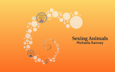 Sexing Animals by Michaela Ramsey on Prezi