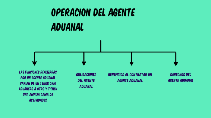 Operacion Que Lleva El Agente Aduanal By Arabe Sh On Prezi 3956