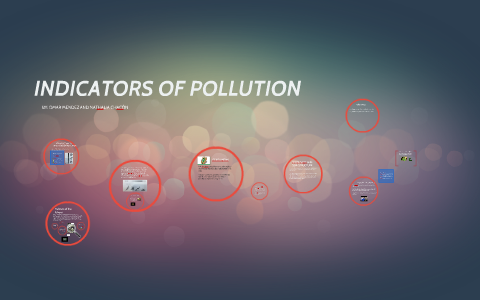 INDICATORS OF POLLUTION by nathalia chacon on Prezi