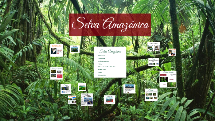 Selva Amazónica by marichuli maripili on Prezi