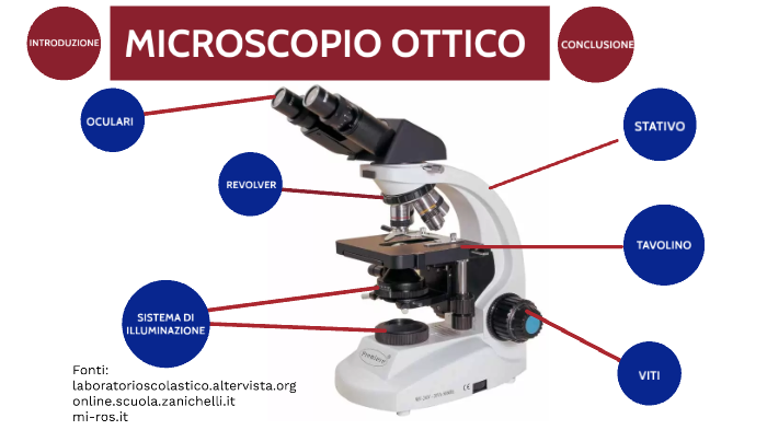 microscopio ottico by giorgia cestari on Prezi
