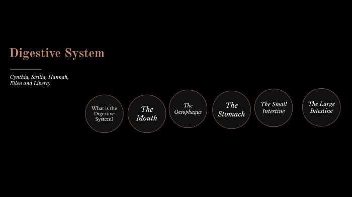 Digestive System by digestive system on Prezi