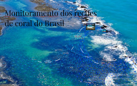 Monitoramento dos recifes de coral do Brasil by rebecca vanielly