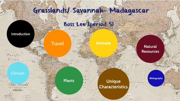 Savanna Biome (Madagascar) by Boss Lee on Prezi