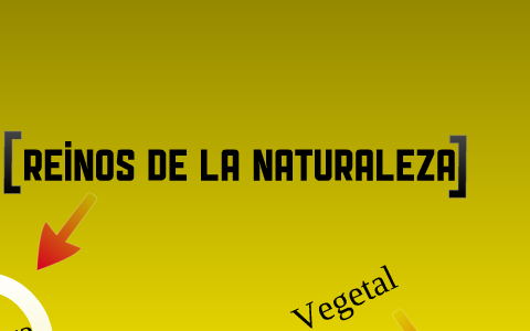 reinos de la naturaleza by danny andres fernandez on Prezi