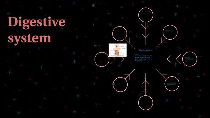 Digestive system by Declan Sutter on Prezi