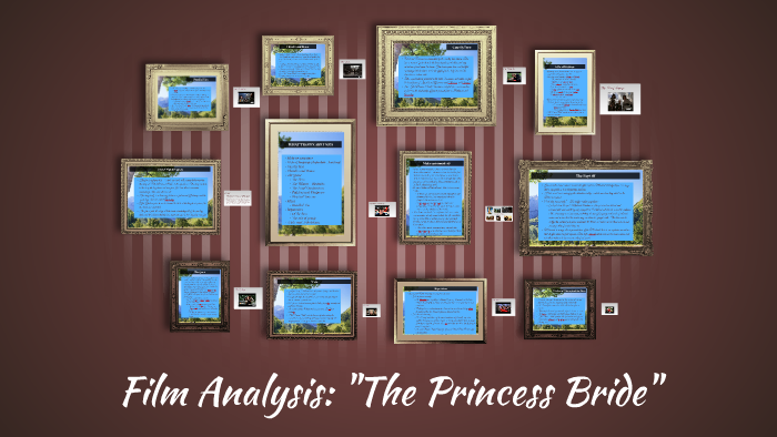 the princess bride analysis