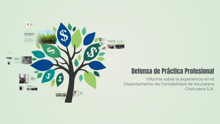 Defensa de Práctica Profesional by Erick Isaac Aguilar Díaz on Prezi