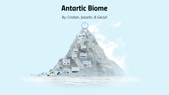 Antartic Biome by Cristian Chavez on Prezi