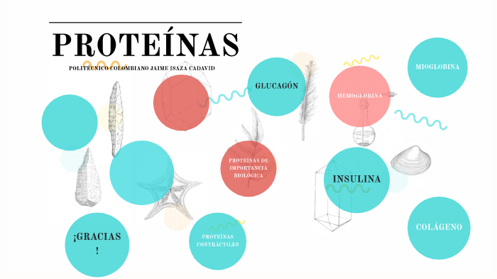 ProteÍnas BioquÍmica By Carolina Naranjo LondoÑo On Prezi 3670