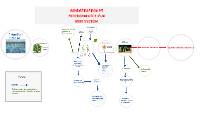 Schématisation Du Fonctionnement Dun Agrosystème By Jade Schulz On Prezi 9904