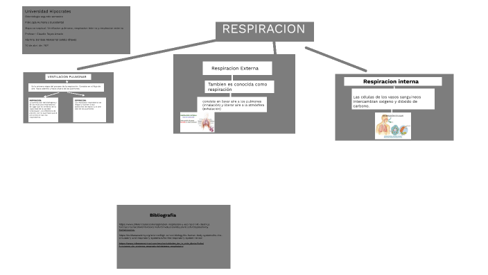 Ventilacion pulmonar mapa conceptual by DENISSE MONSERRAT SOTELO CHAVEZ ...