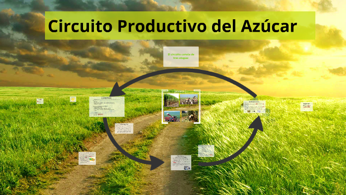 Circuito Productivo Del Azúcar Para Niños En Argentina