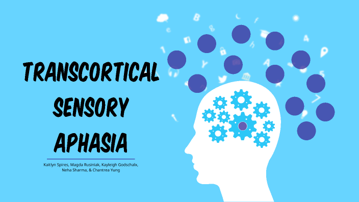 Transcortical Aphasia by Kaitlyn Spires on Prezi