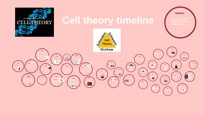 Cell theory timeline by Andrea Delgado on Prezi