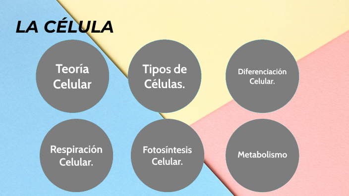 La Célula. by Sofia Carrara on Prezi