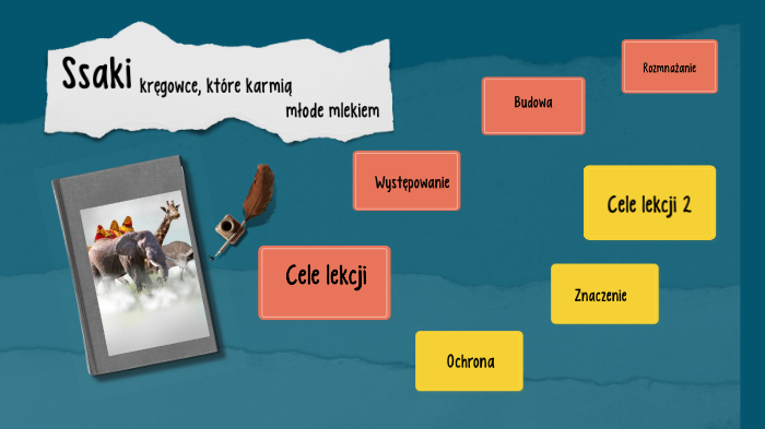 Ssaki- kręgowce, które karmią młode mlekiem. by Aleksandra