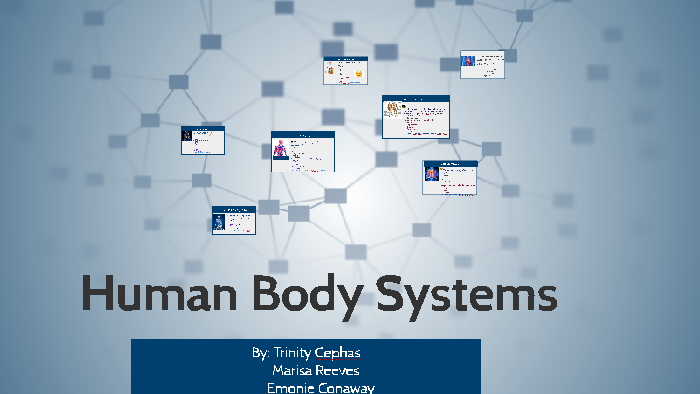 Human Body Systems by Trinity Cephas