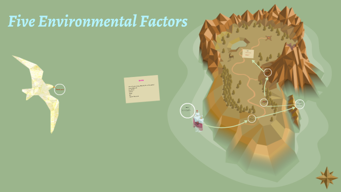 five-environmental-factors-by-rodiya-ameen