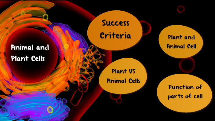 Animal and Plant Cells by Hisyam Abdul Halim on Prezi