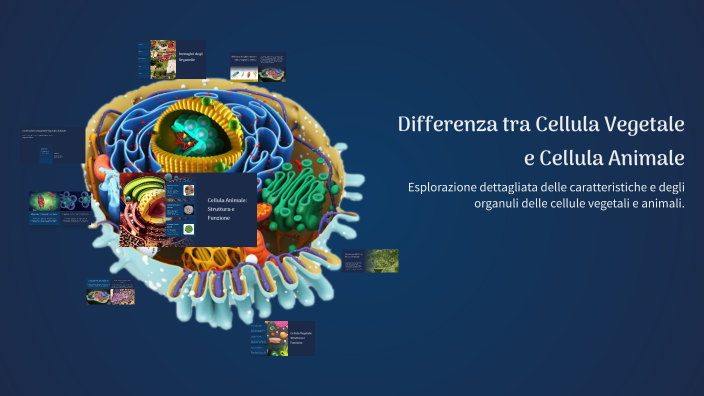 Differenza tra Cellula Vegetale e Cellula Animale by Conti Orazio on Prezi