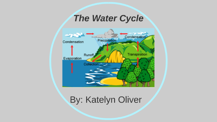 The Water Cycle by Katelyn Oliver on Prezi