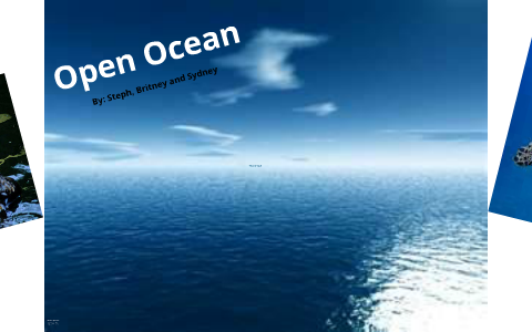 Open Oceans By Sydney Urwin On Prezi