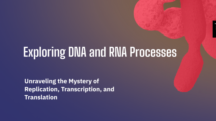 Exploring DNA and RNA Processes by Chelsea O'Bryant on Prezi