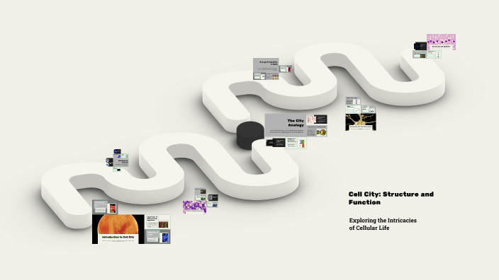 Steel Widget Cell City: Understanding Structure and Function by bookworm anano on Prezi