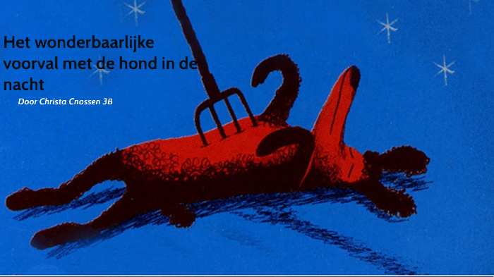 Het wonderbaarlijke voorval met de hond in de nacht by Christa Cnossen