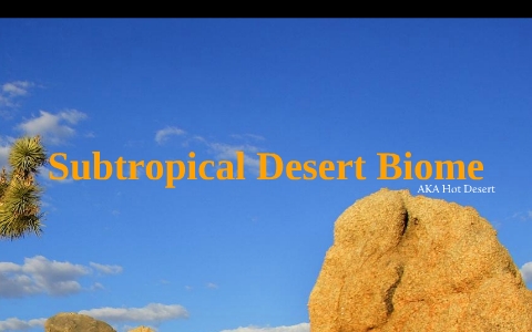 Subtropical Desert by Jonathon Johnson on Prezi