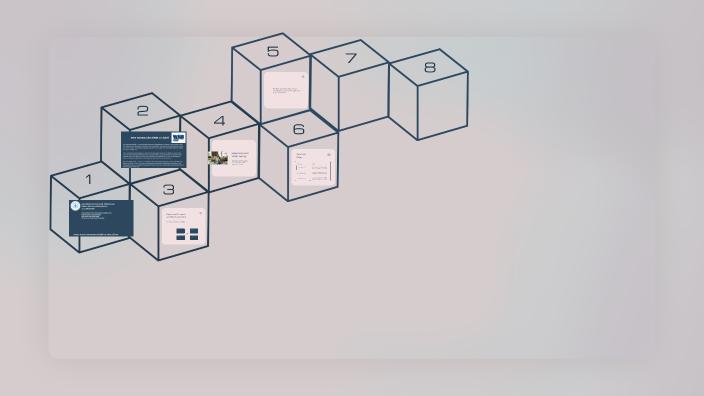 SS-WEB by Zeynep on Prezi
