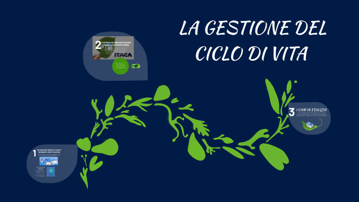 La Gestione Del Ciclo Di Vita by Diletta Parisi on Prezi