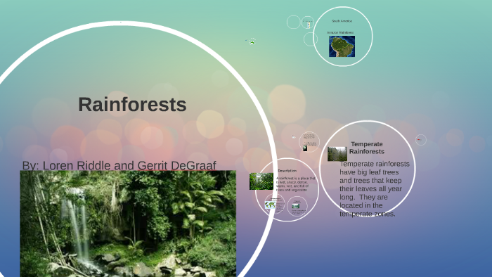 Rainforests by Loren Riddle on Prezi