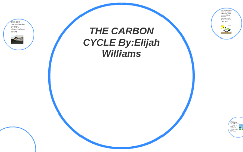 THE CARBON CYCLE by Elijah Williams on Prezi