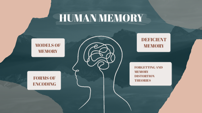 presentation on human memory