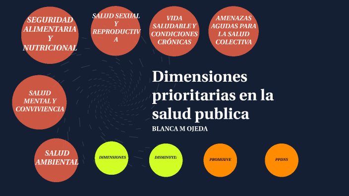 Dimensiones Prioritarias En Salud PÚblica By Mariel Ojeda Briseño On Prezi 8987